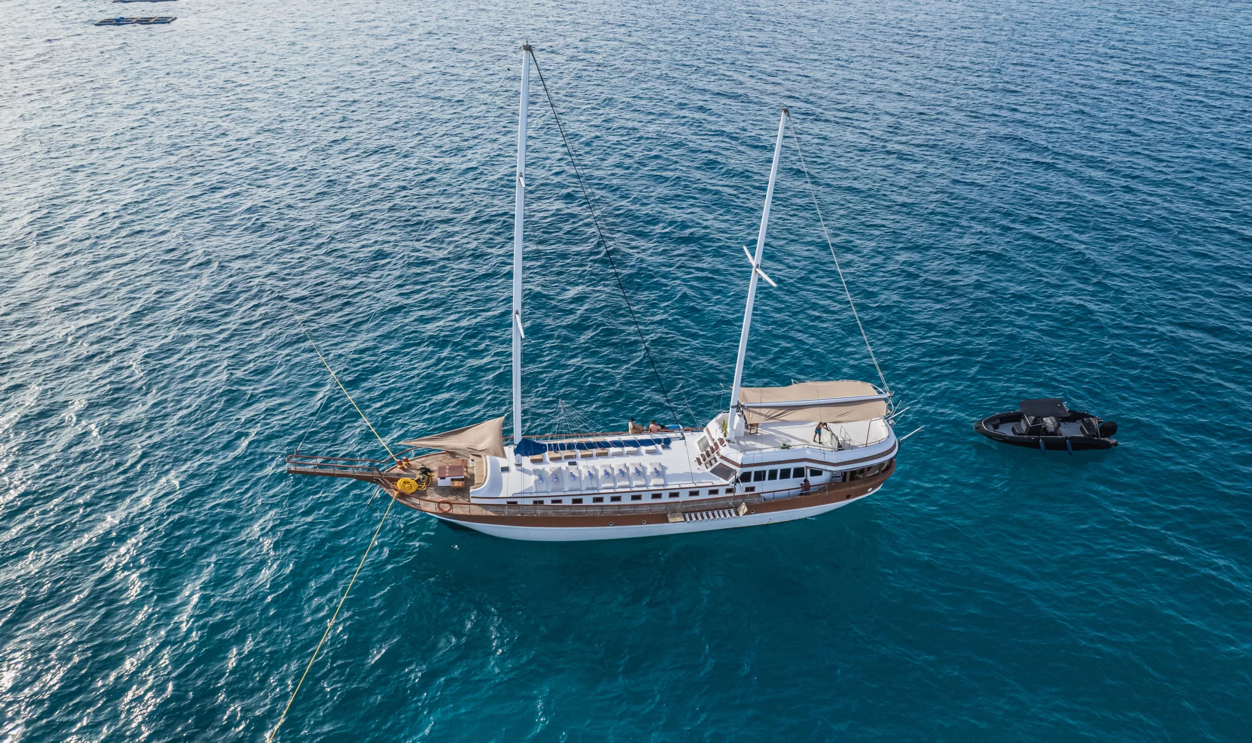 Gulet (Akoya Pearl)  - 24