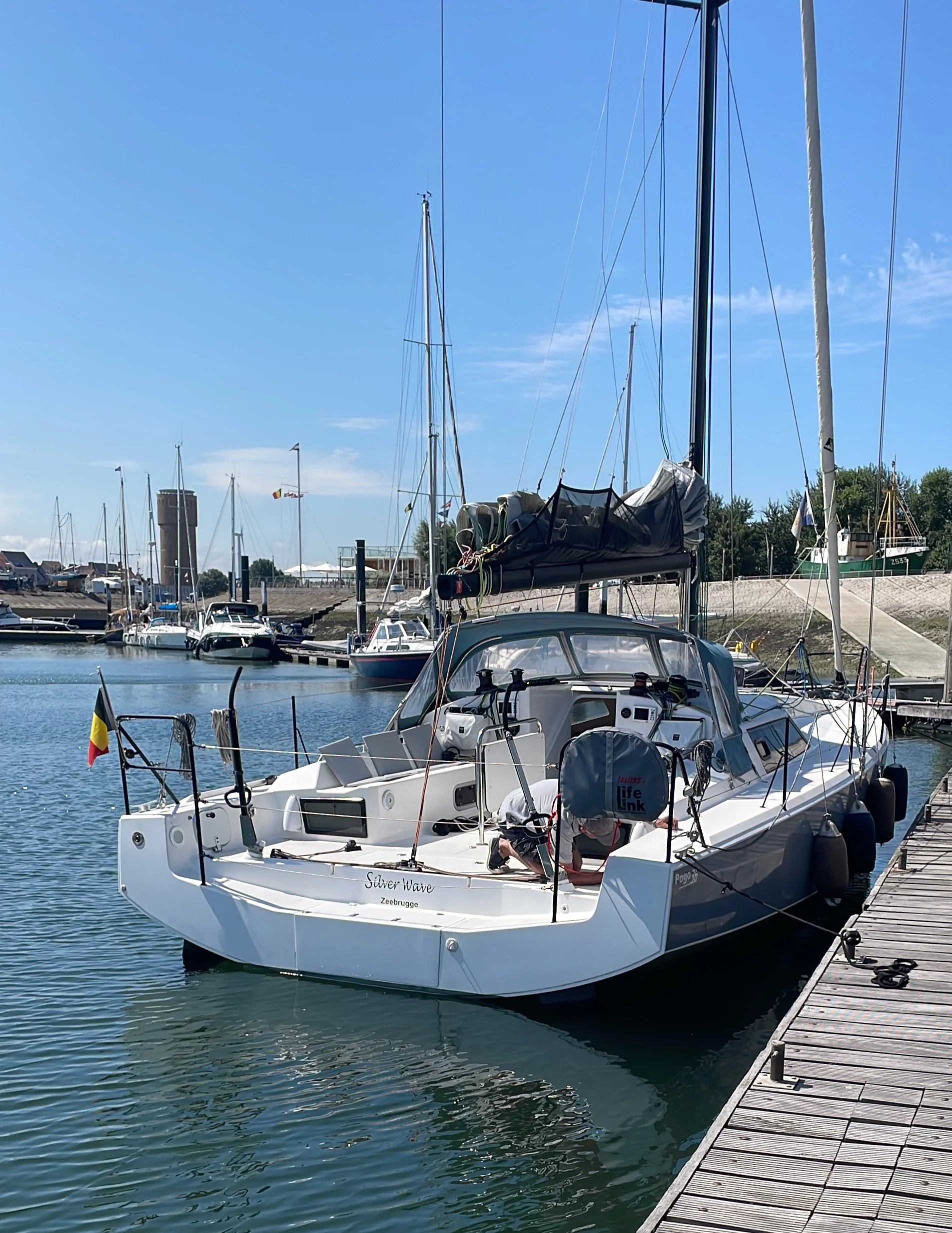 Pogo 36 (SILVER WAVE)  - 8