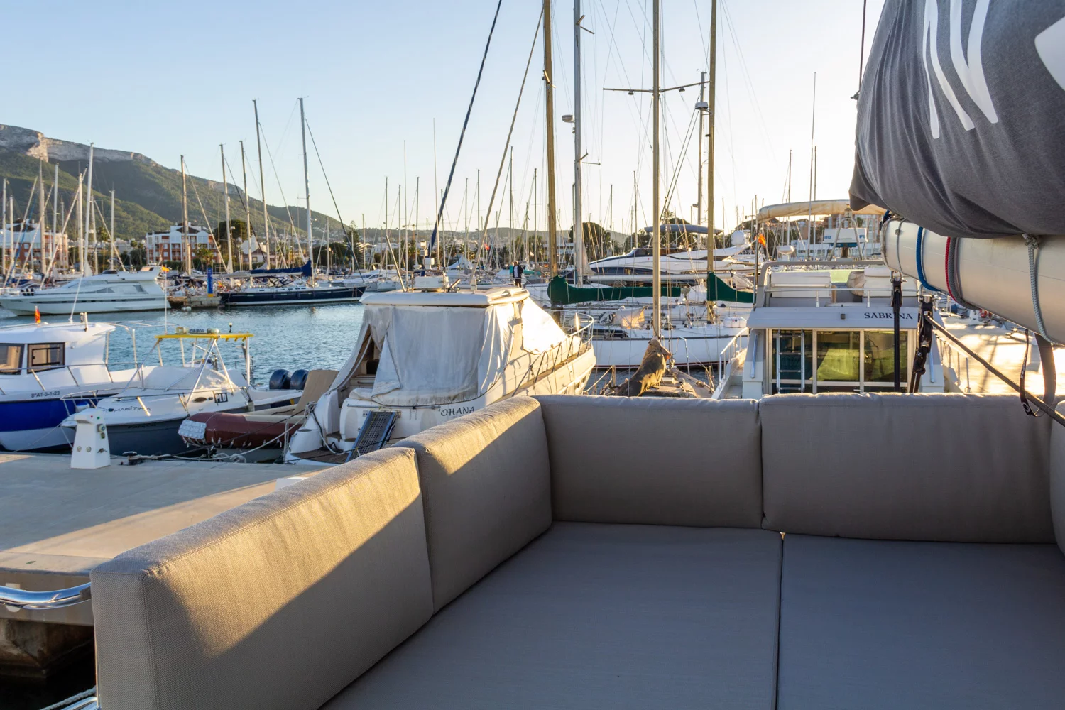 Aventura 37 (Flor de Ibiza)  - 4