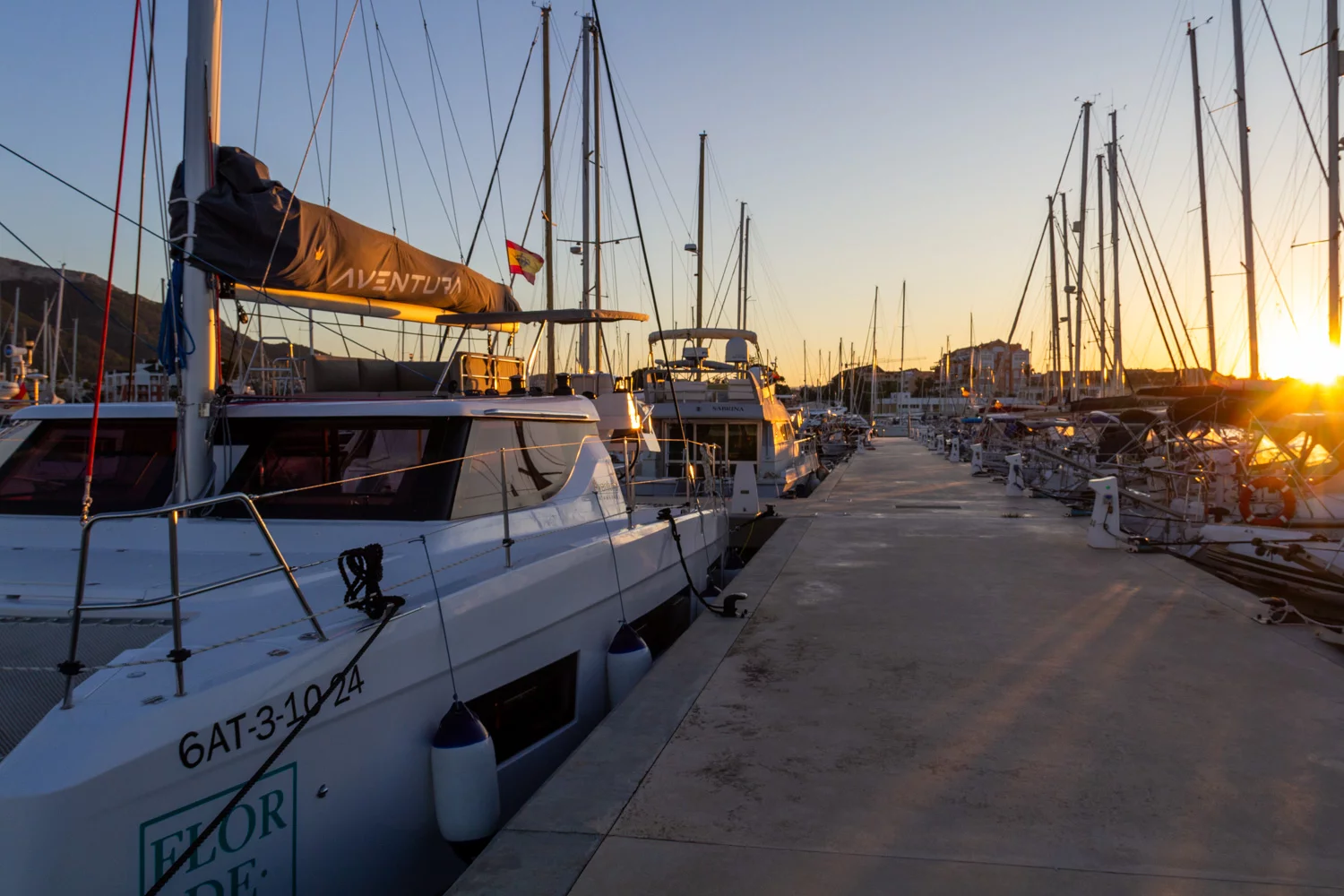 Aventura 37 (Flor de Ibiza)  - 50