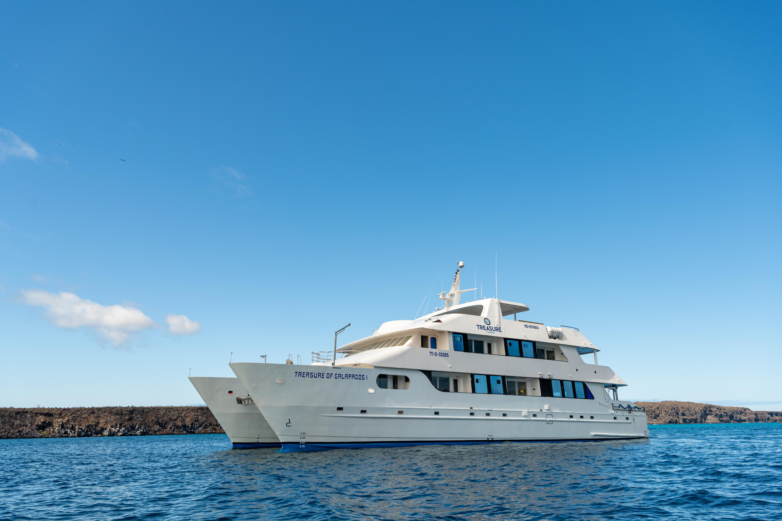 Catamaran - Treasure — photo 31