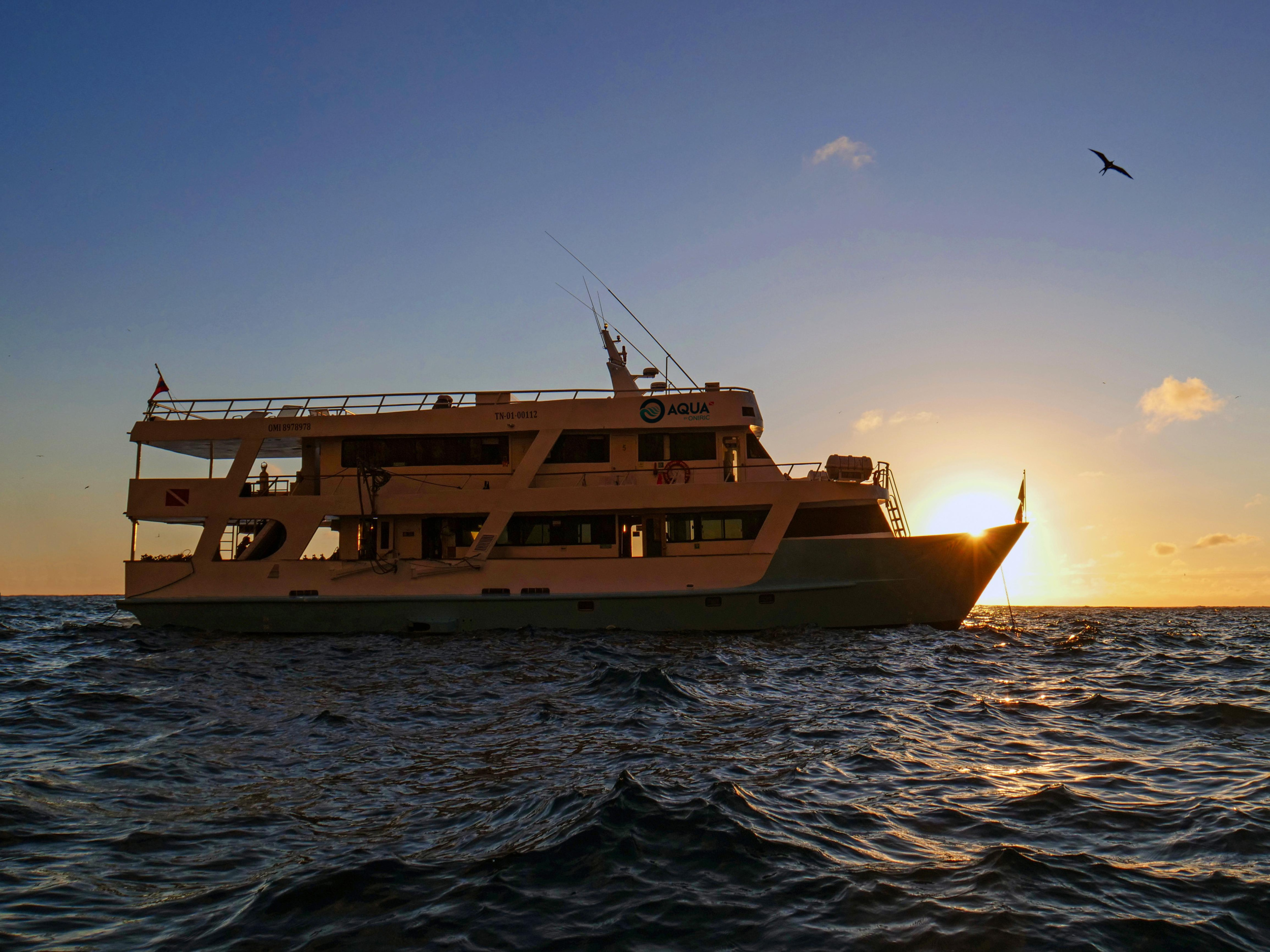 Motoryacht - Aqua — photo 4