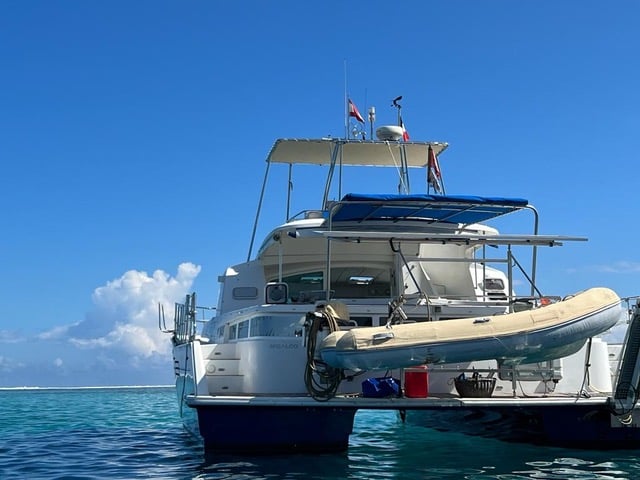 Photo #8 - Lagoon Power 43 (MIGALOO) in Papeete - 60818
