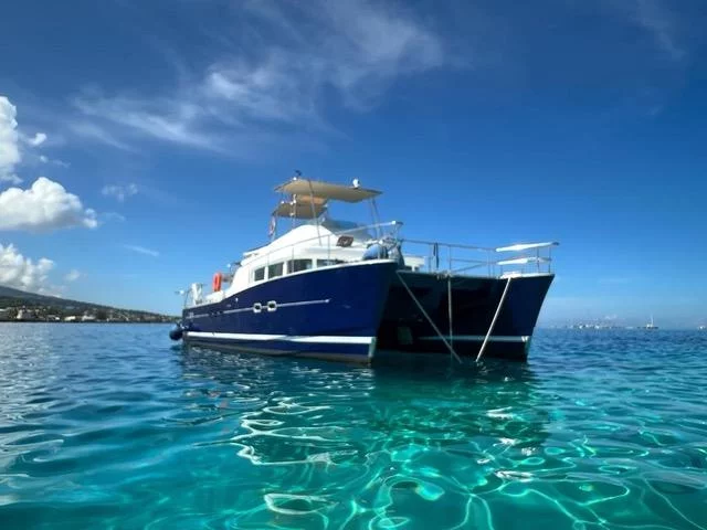 Lagoon Power 43 (MIGALOO)  - 8