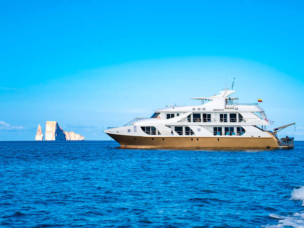 Photo #5 - Power Cat - Elite (Elite) in Galapagos - 61611