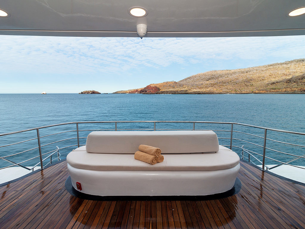 Photo #15 - Power Cat - Petrel Cabin (Petrel) in Galapagos - 61613