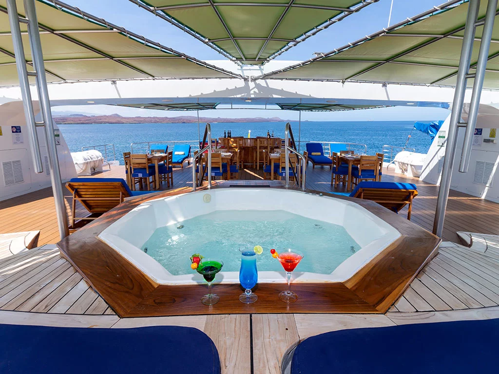Power Cat - Petrel Cabin (Petrel)  - 18