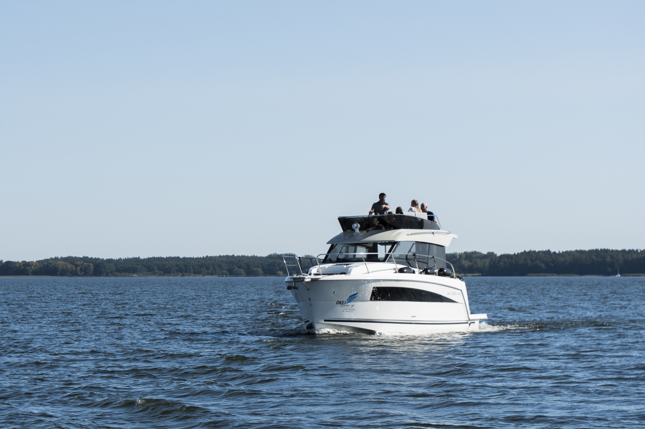 Photo #43 - Balt 1018 Titanium (Balt 1080 Titanium) in Wilkasy - 60859