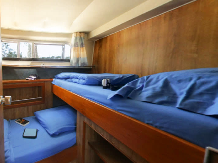 Photo #5 - Classique (Classique - Budget 14) en Benson - 62277