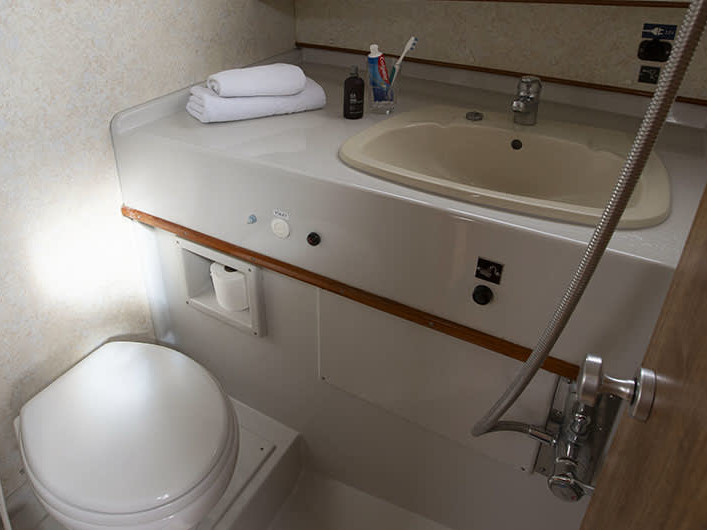 Photo #6 - Crusader (Crusader - Budget 8) in Benson - 62305