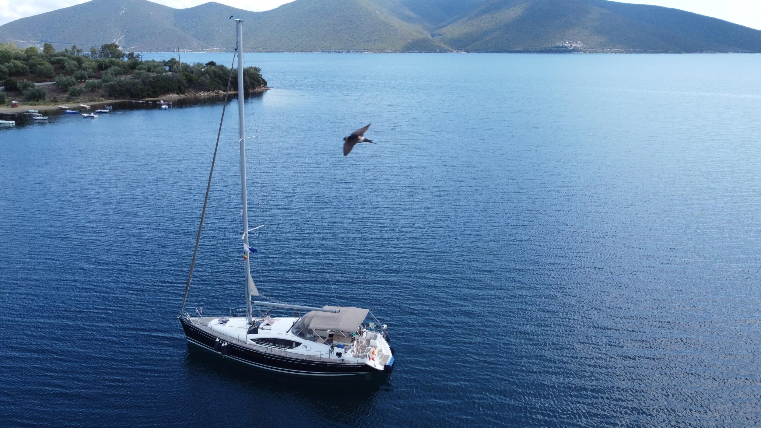 Sun Odyssey 45DS (Aurora)  - 20
