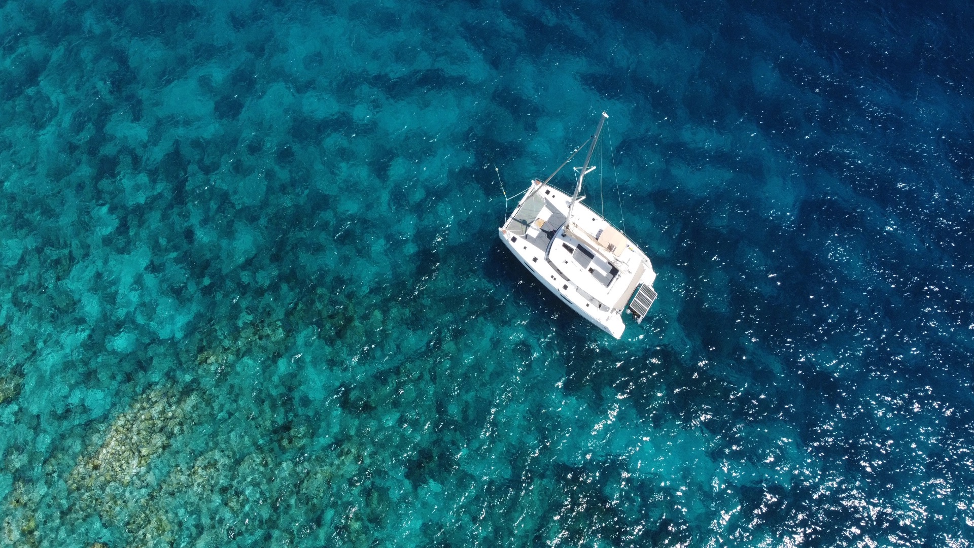 Photo #7 - Saba 50 (Purpose) in St. George's - 63679