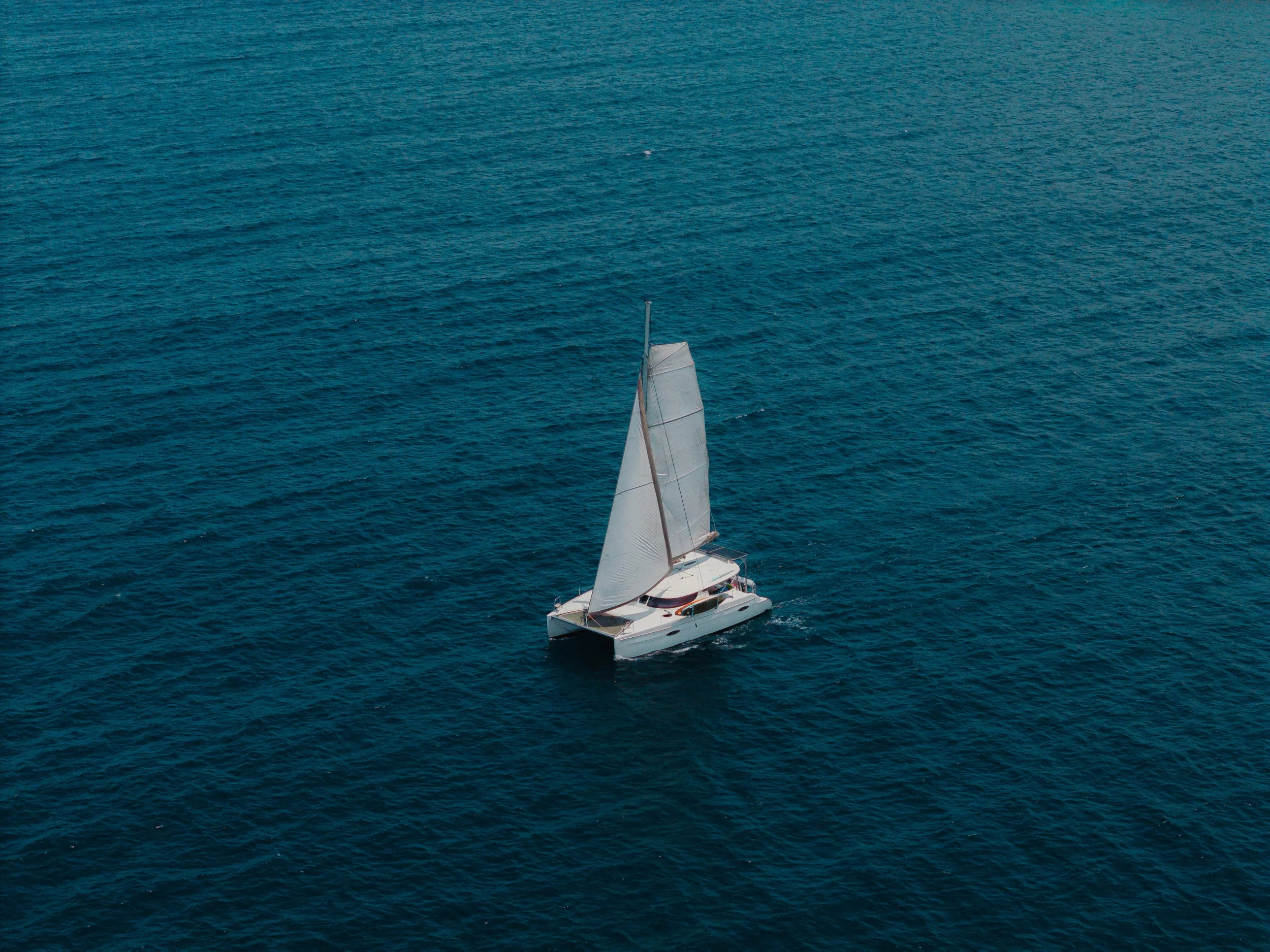 Lipari 41 Evolution (Atila)  - 23