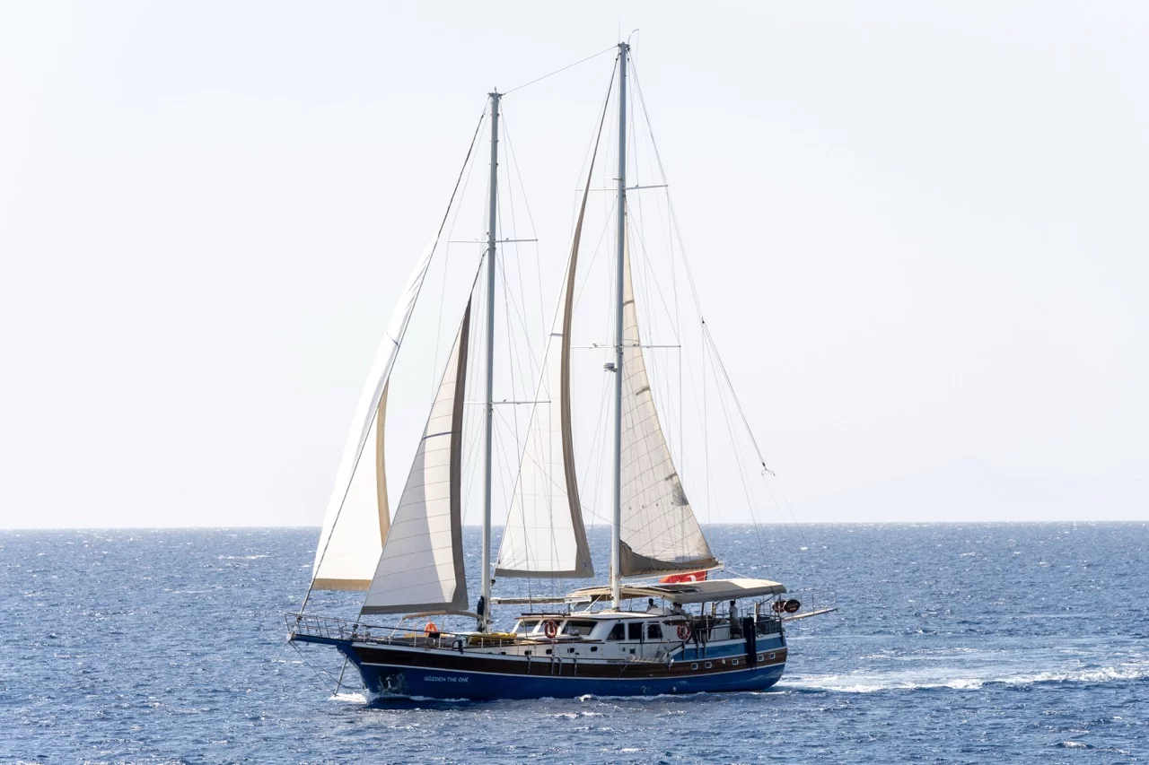 GOZDEM THE ONE (GOZDEM THE ONE)  - 19