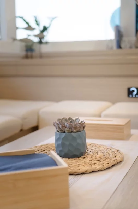 Lagoon 51 (Navya)  - 12