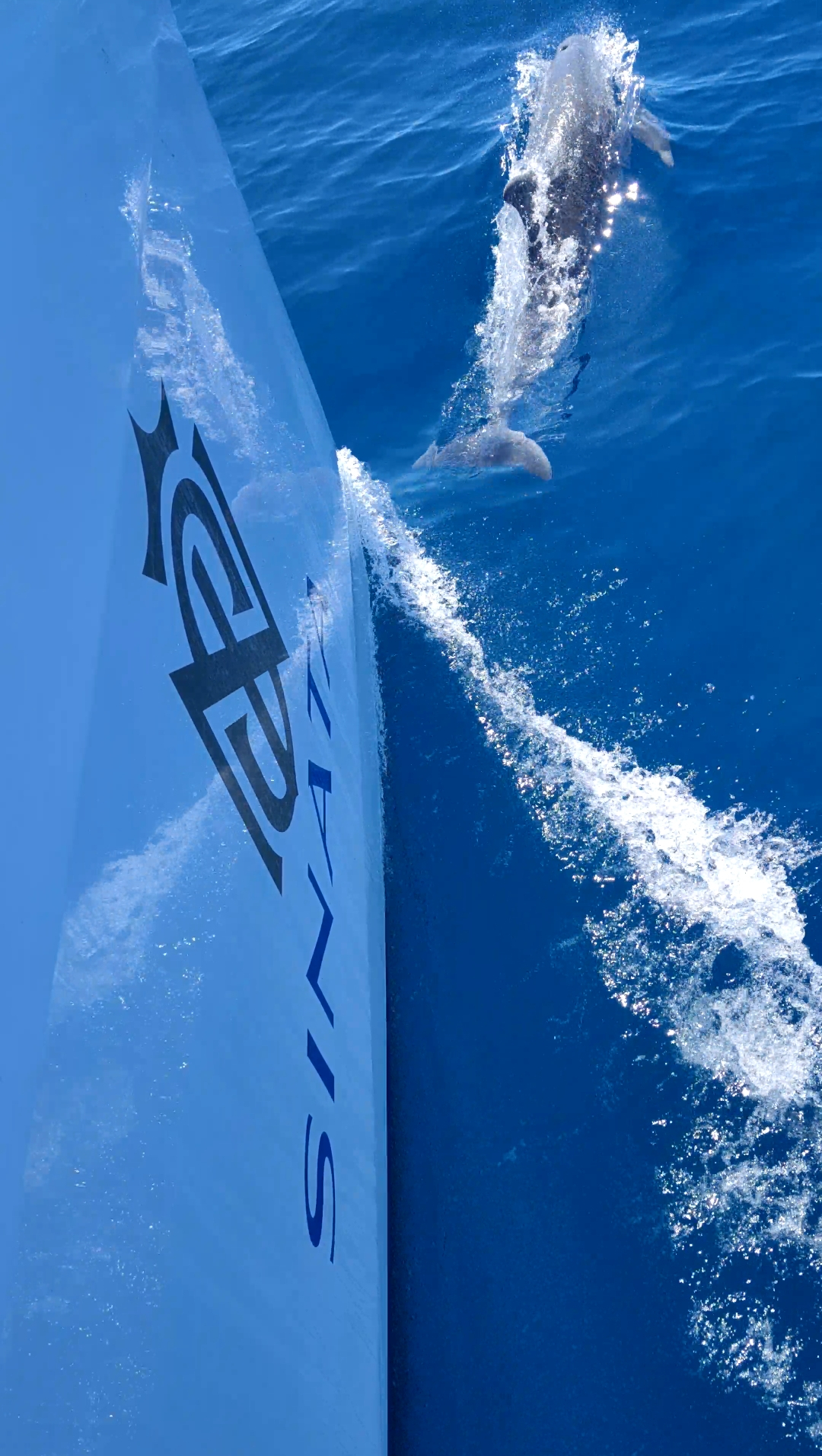 Sunreef 60 — photo 70