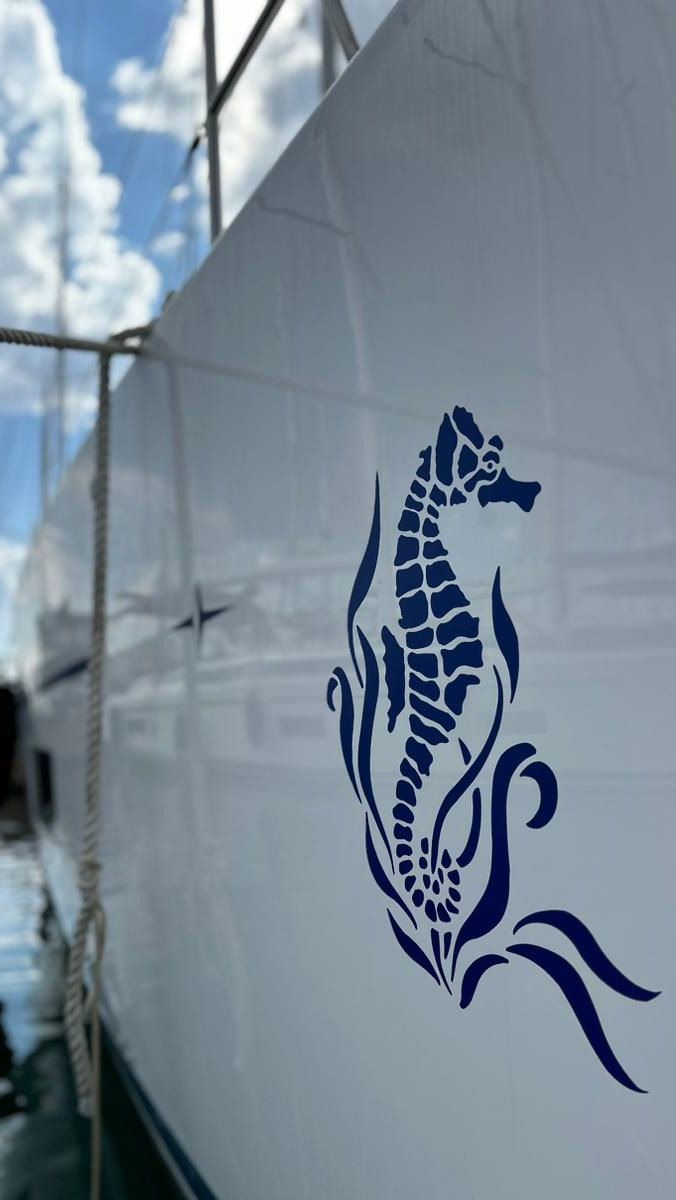 Bavaria C45 Holiday (5 cab.) — photo 5