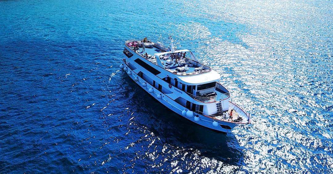 Motoryacht — photo 22