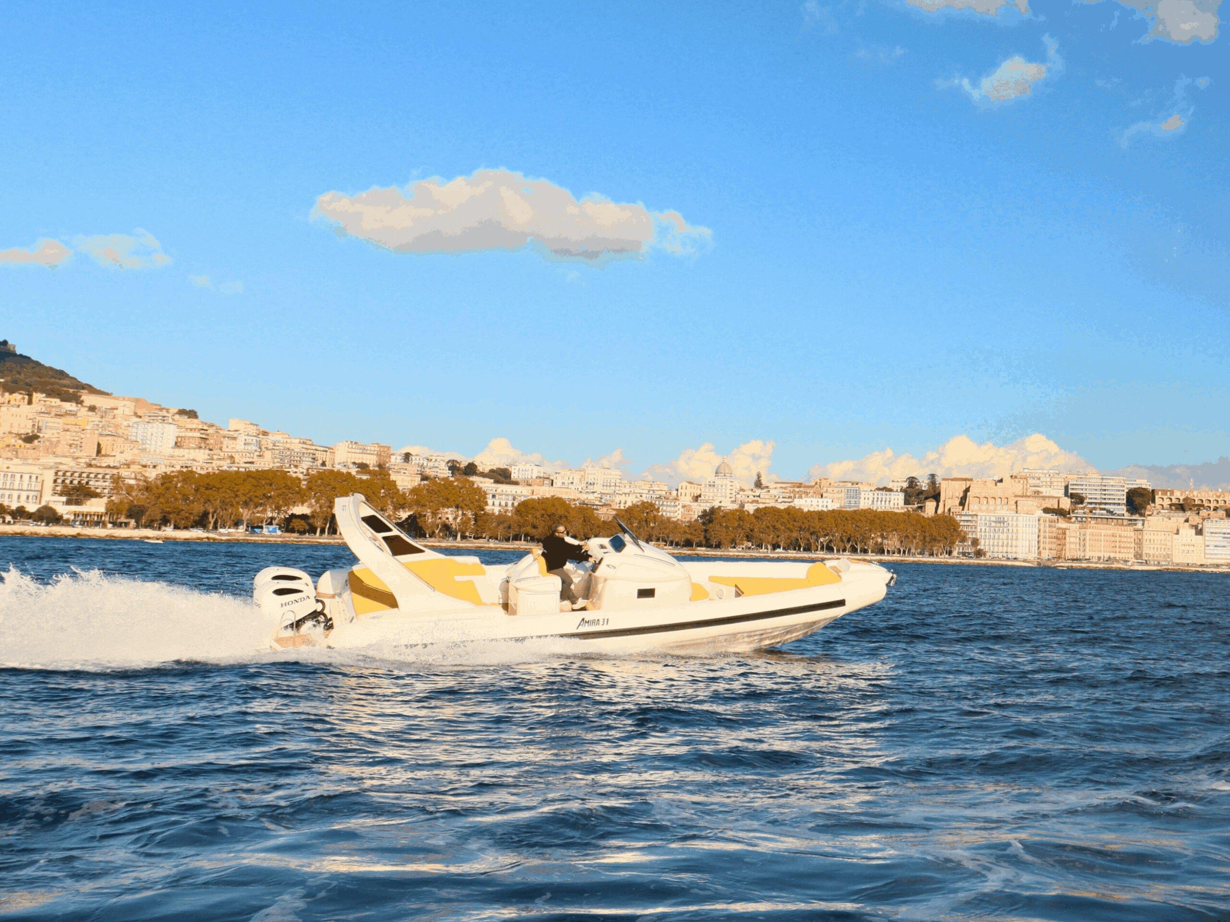 Amira 31 — photo 15
