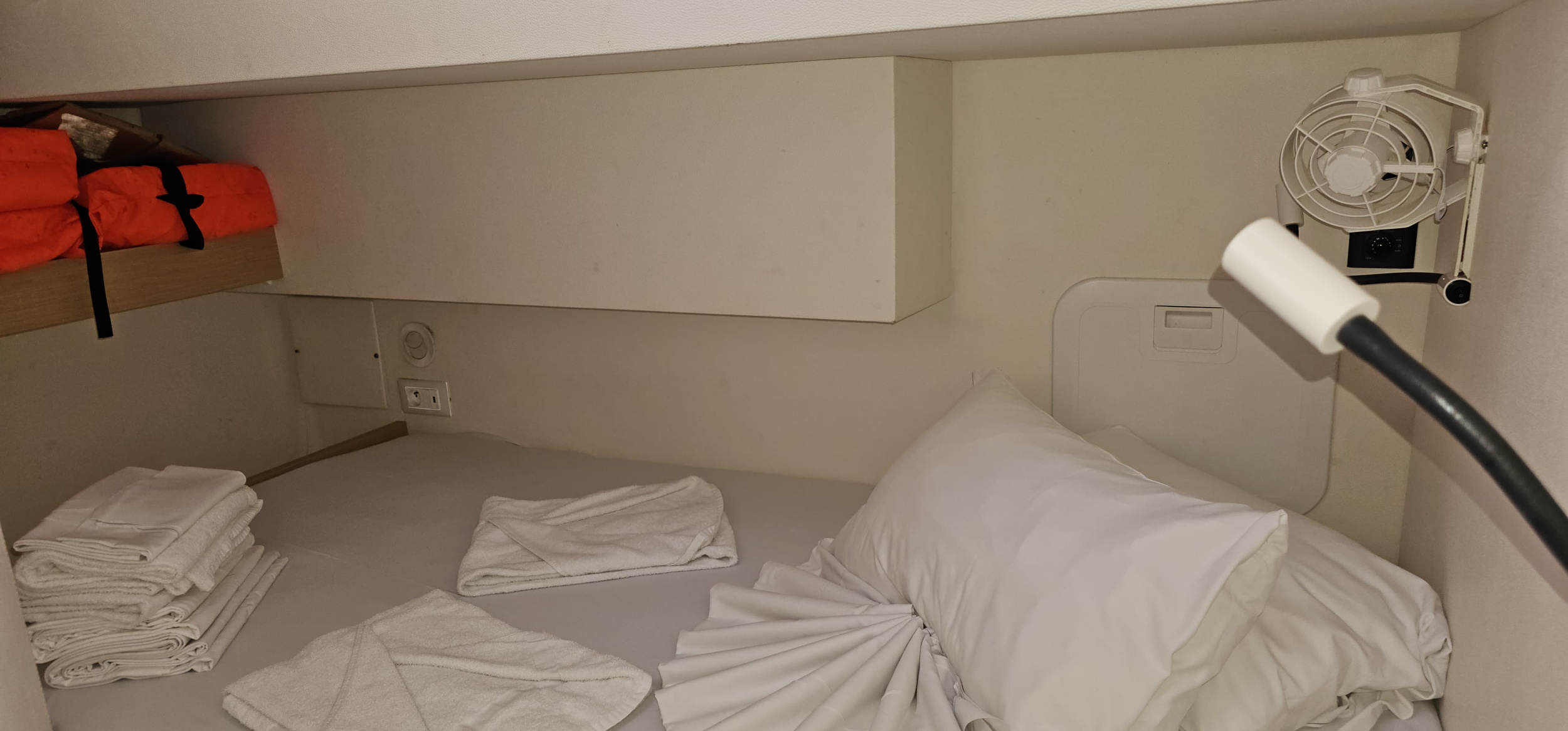 Saba 50 — photo 12