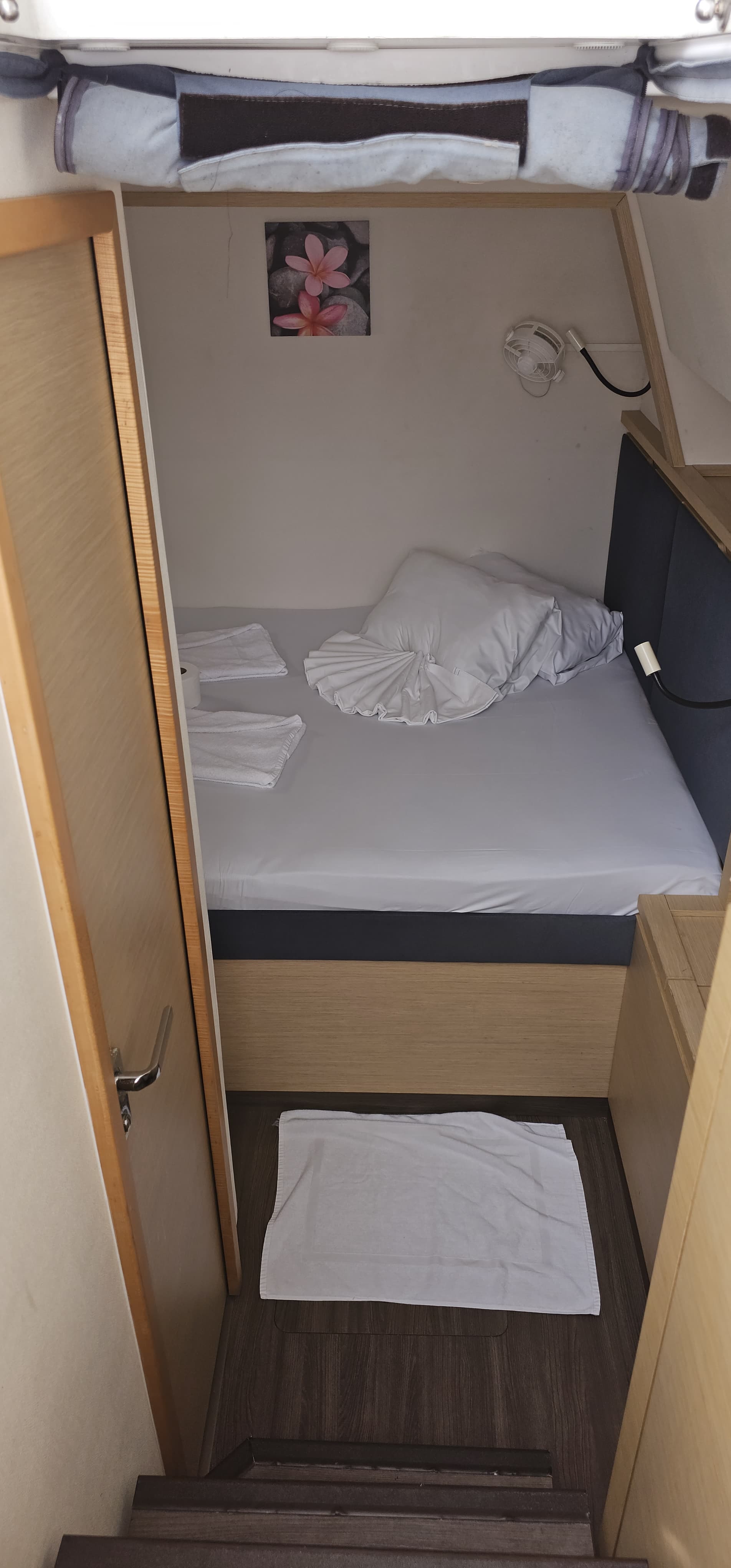 Saba 50 — photo 11
