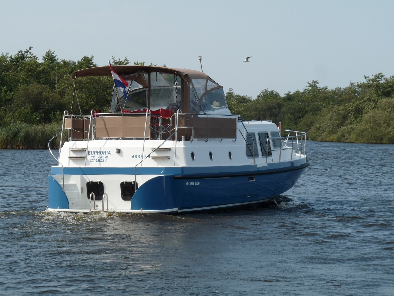 Holiday 1300 — photo 13