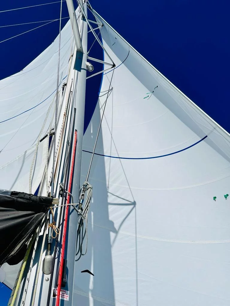 Lagoon 450 SporTop (Belle) Sail - 19