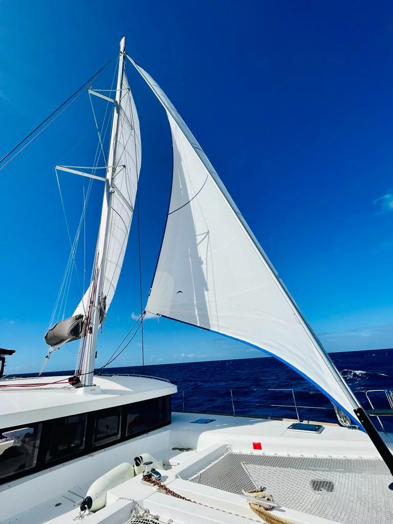 Lagoon 450 SporTop (Belle) Jib - 25