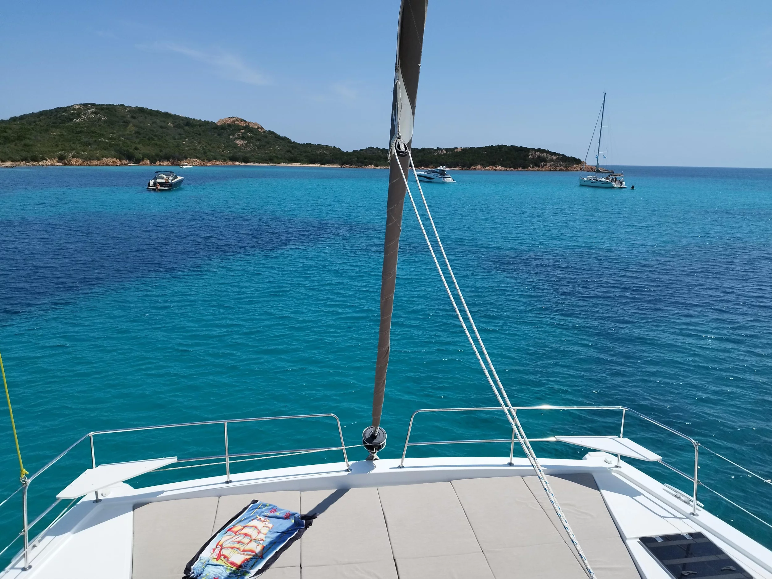 Bali 4.4 (Stenella)  - 47