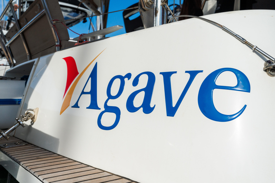 Agave - Premium line - 1