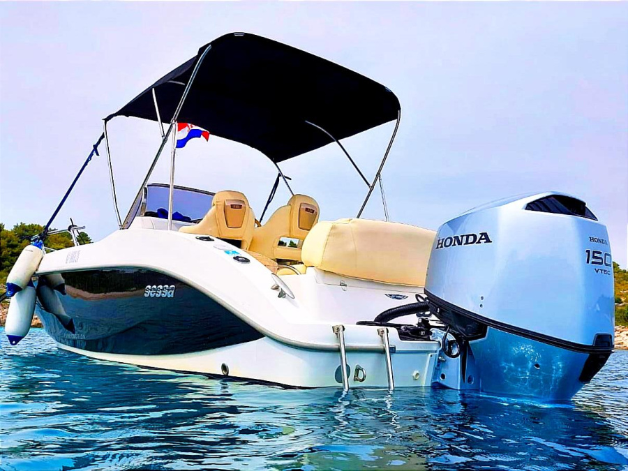 Dory - 2
