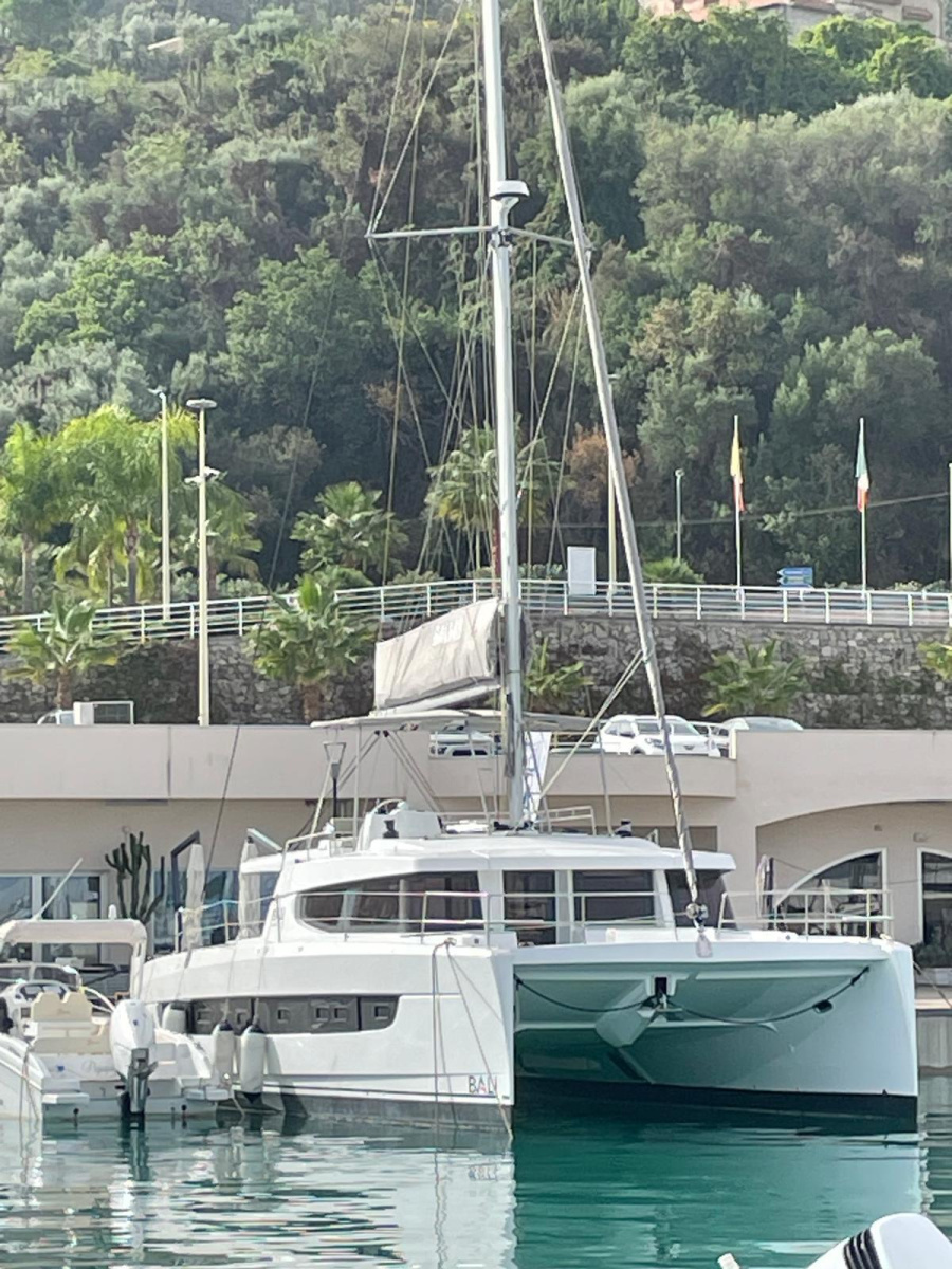 Silver Dolphin - 1