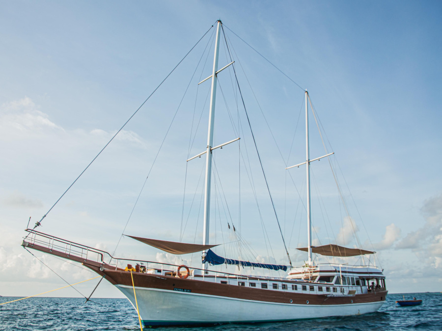 Photo #1 - Gulet (Akoya Pearl) in Malé - 22863