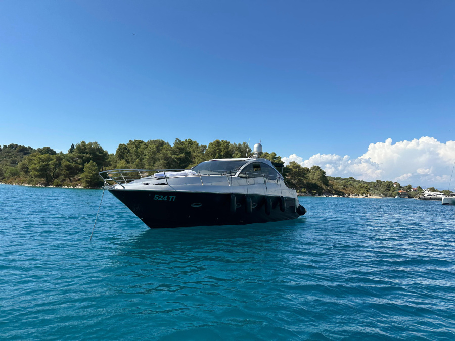 Marta VI - 1