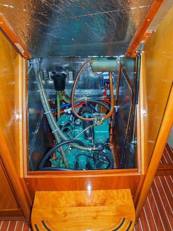 Sea Star - 1