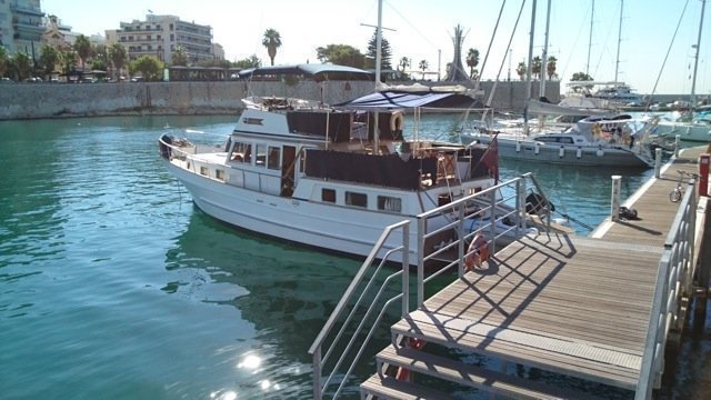 Sea Lion - 2