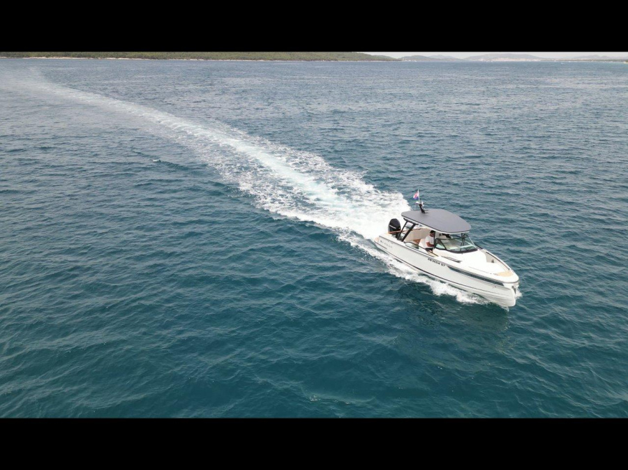 Orca - 1