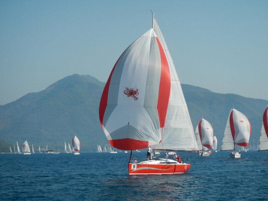 Photo #1 - Salona 41 (Race Dog) en Adakoy Marina - 43076