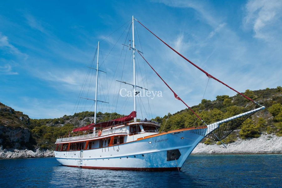 Cataleya - 2