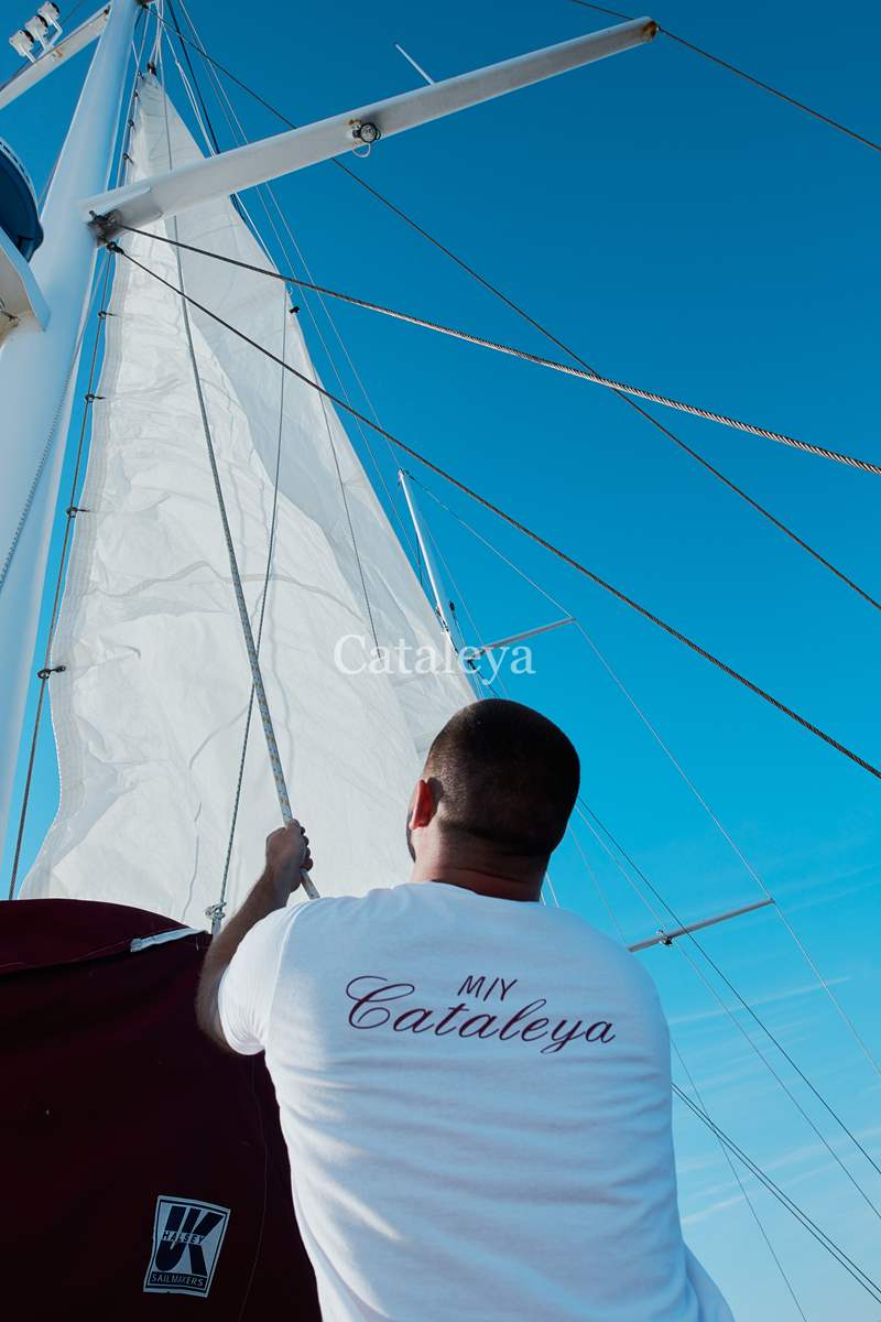 Cataleya - 1