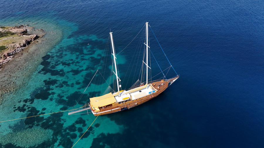 Photo #1 - Parss (Parss) in Harbour - 61339