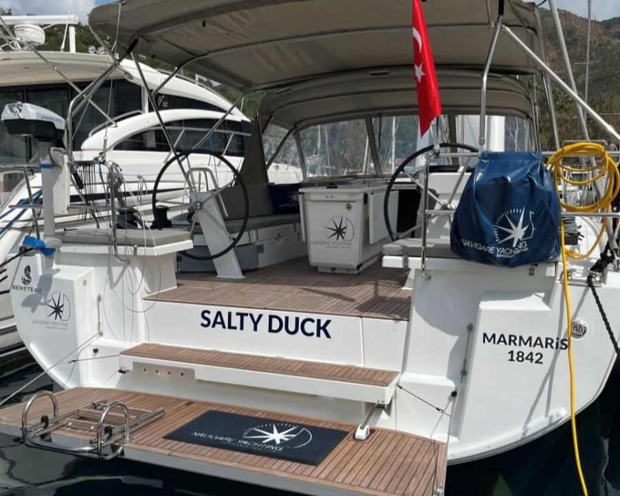 SALTY DUCK - 2