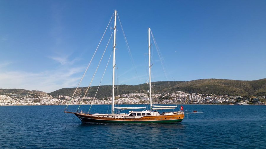 Photo #1 - Carpediem 5 (Carpe Diem 5) in Harbour - 65186