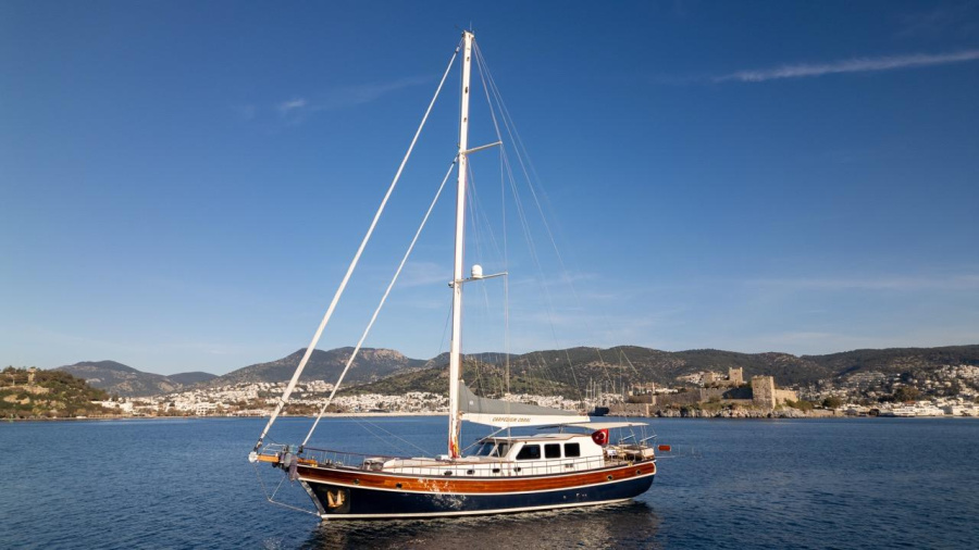 Photo #1 - Carpediem coral (Carpe Diem Coral) in Harbour - 65136