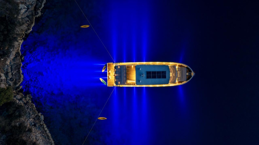 Lila Trawler - 1