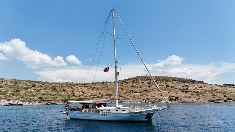 Photo #1 - Zorbas (Zorbas) in Harbour - 67664