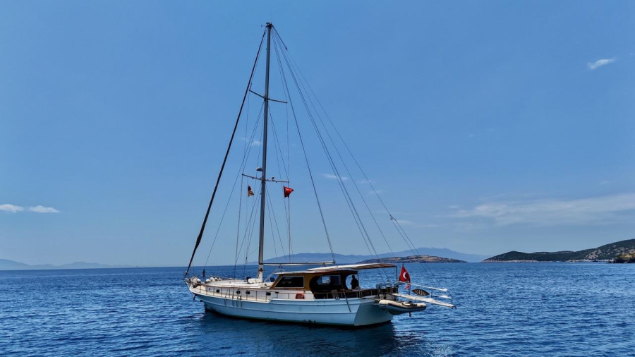Zorbas - 1