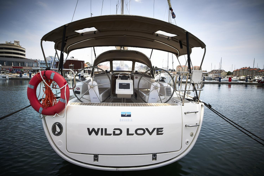 Wild Love - 2