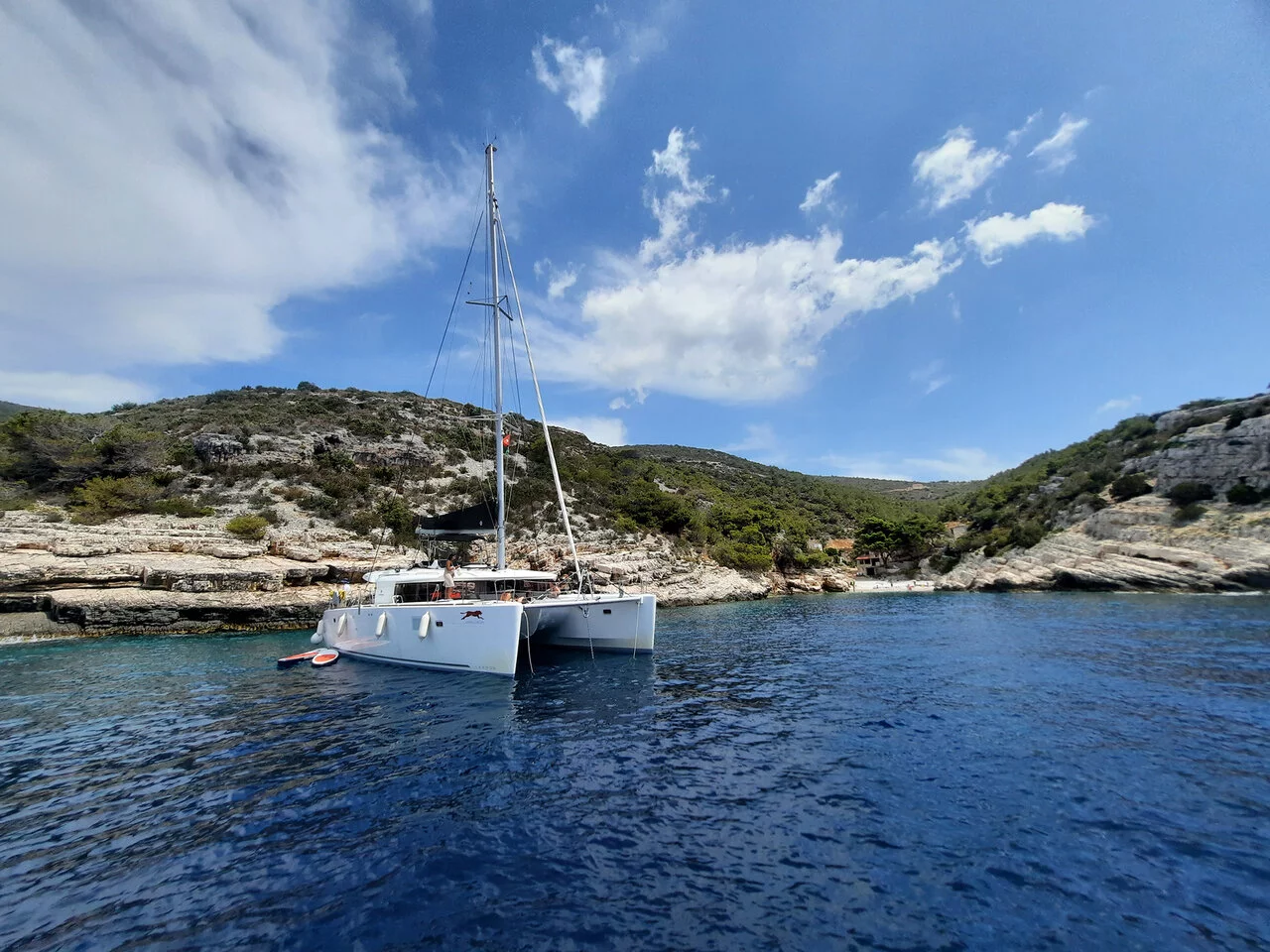 Lagoon 450 F - 4 + 2 cab. (Adriatic Cheetah)  - 2