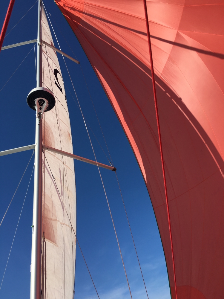 Photo #12 - Oceanis 38 - 3 cab. (Omega) en Biograd - 29582